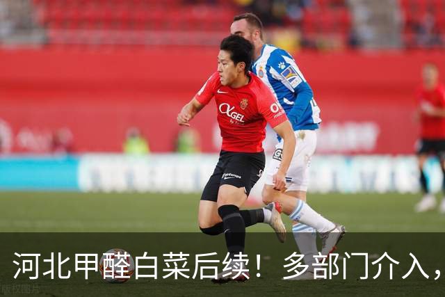 河北甲醛白菜后续！多部门介入，第三车被扣，甲醛成本曝光太意外